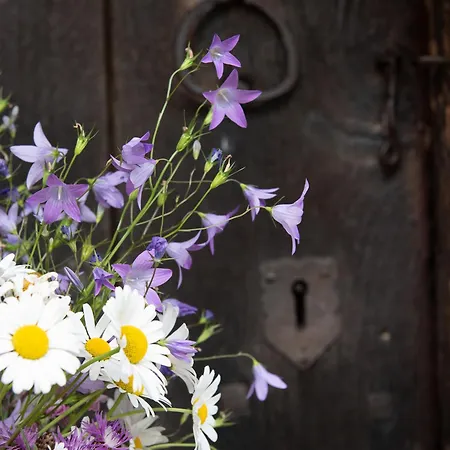 Alpehytte Troadkasten By Interhome Neuhofen im Innkreis