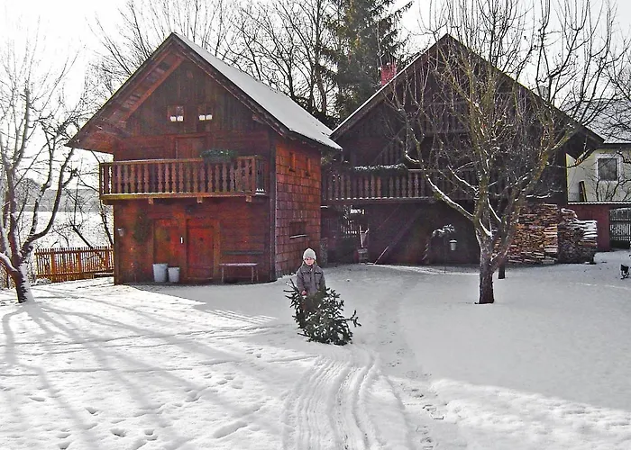 Dağ evi Troadkasten By Interhome Neuhofen im Innkreis