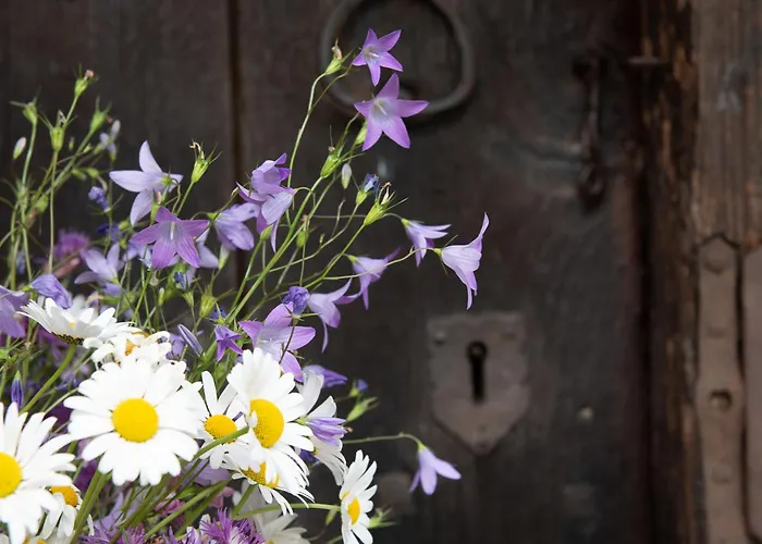 Dağ evi Troadkasten By Interhome Neuhofen im Innkreis