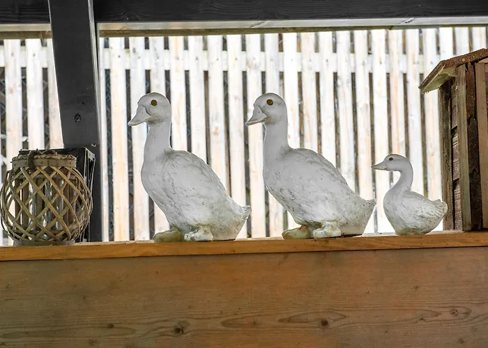 Dağ evi Troadkasten By Interhome